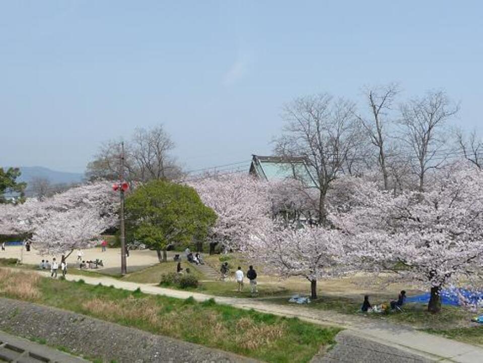 石手川公園