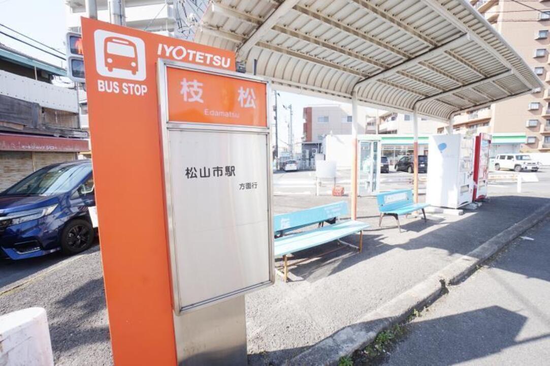 枝松