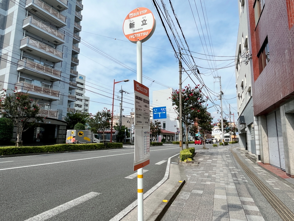 新立