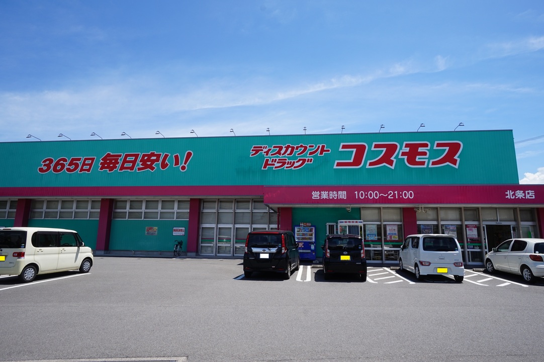 ディスカウントドラッグコスモス 北条店