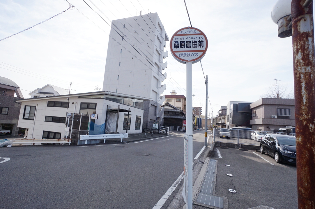 くすりのレデイ 束本店