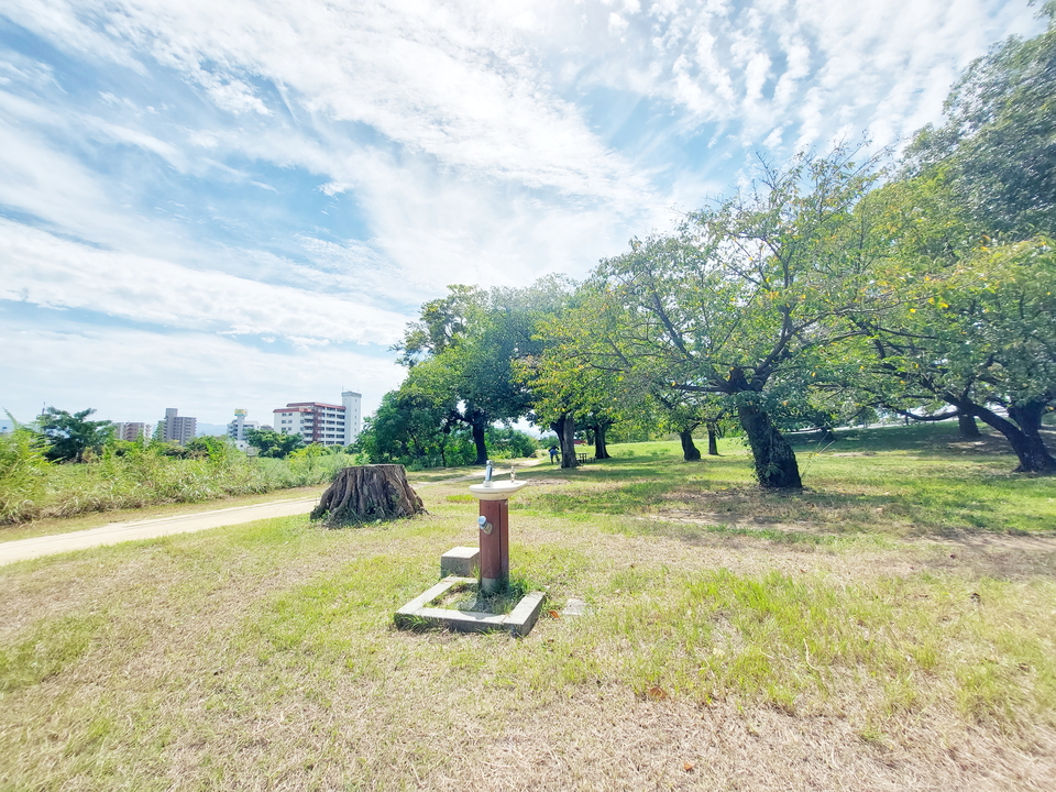 石手川緑地