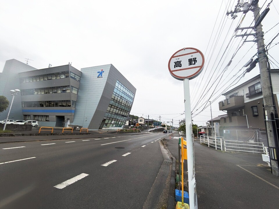 高野