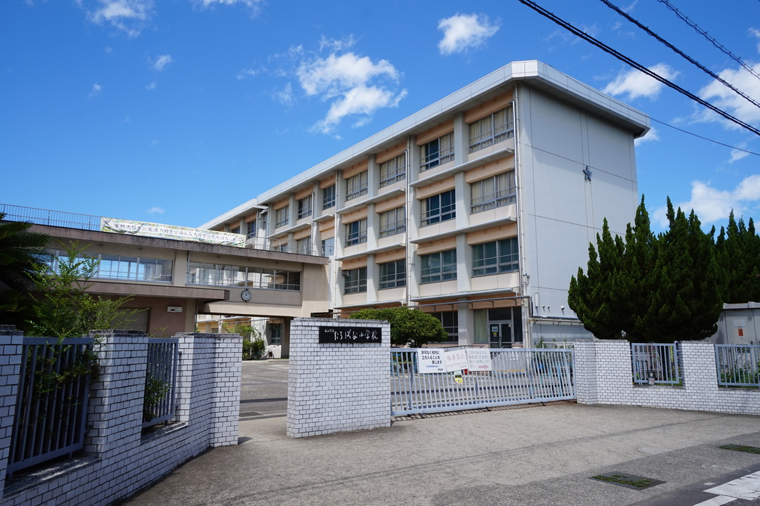 松山市立たちばな小学校