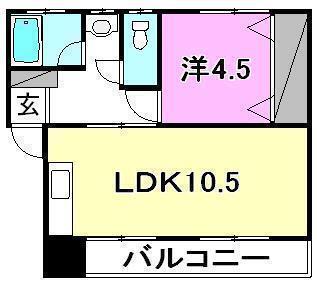 グレイスハナミズキ