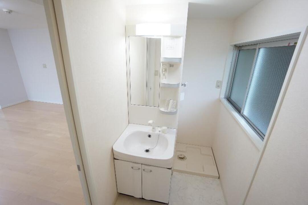 シャンプードレッサー