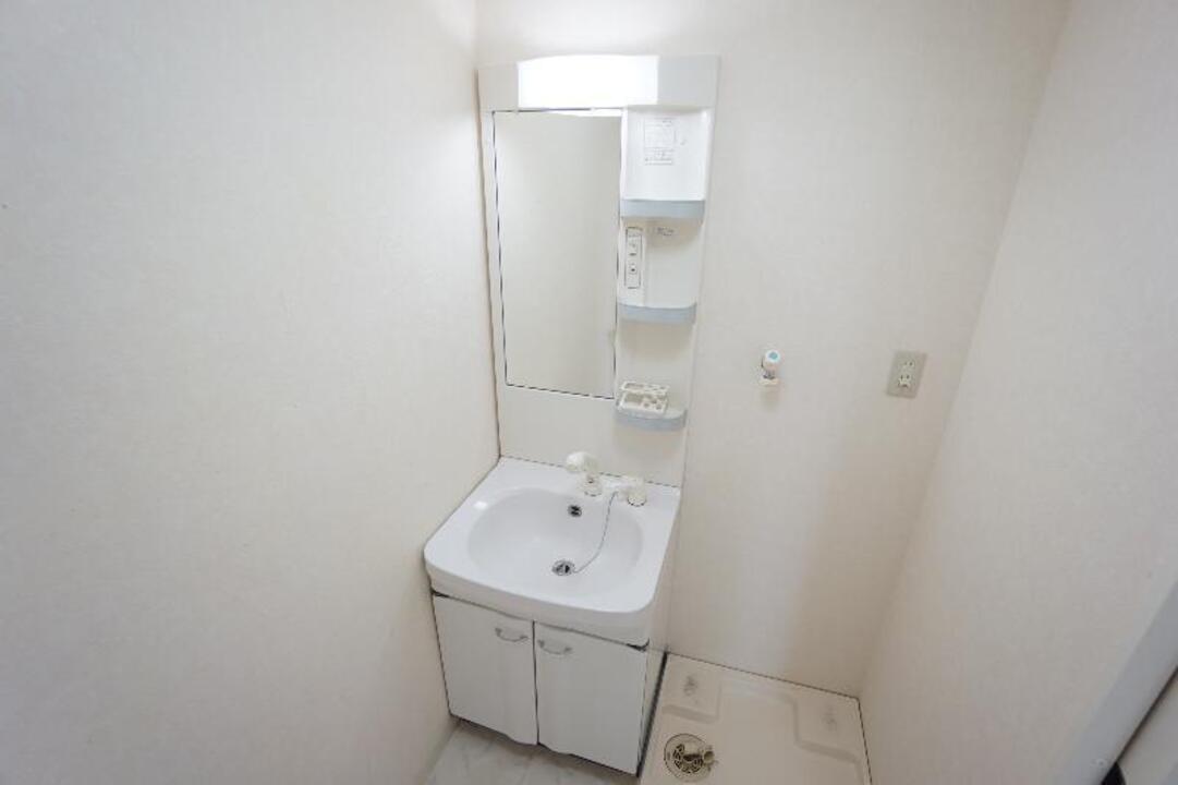 シャンプードレッサー