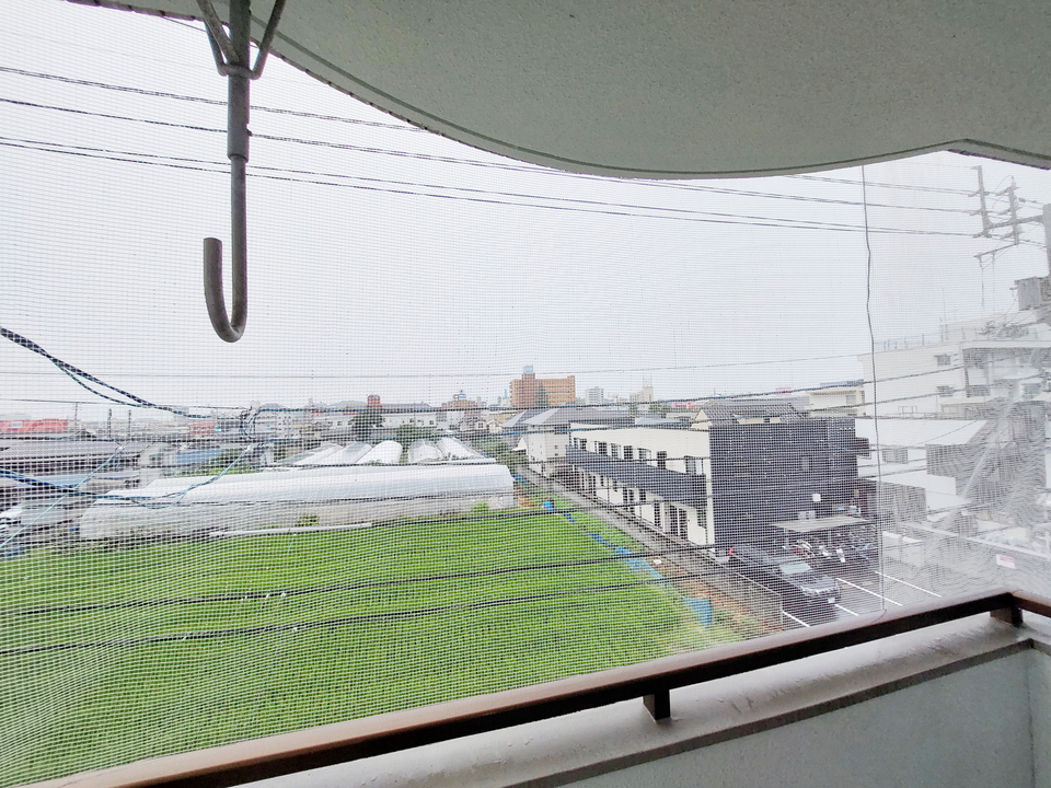 背景