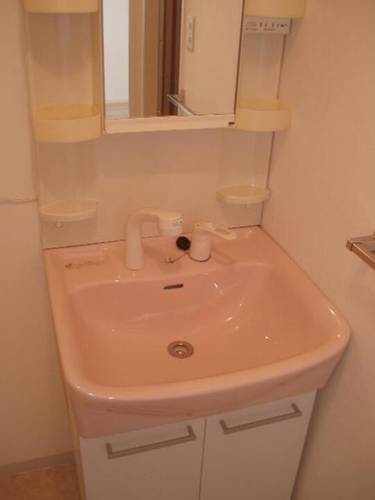 シャンプードレッサー