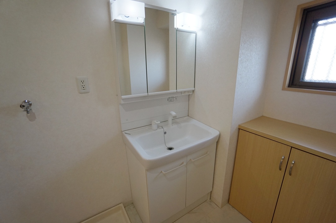 シャンプードレッサー