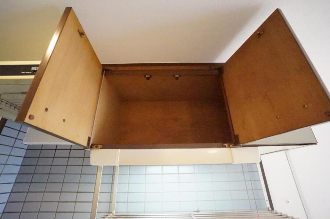棚