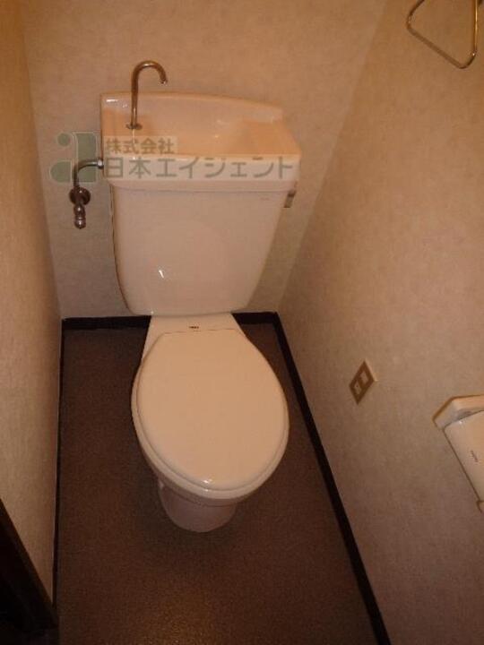 シャンプードレッサー