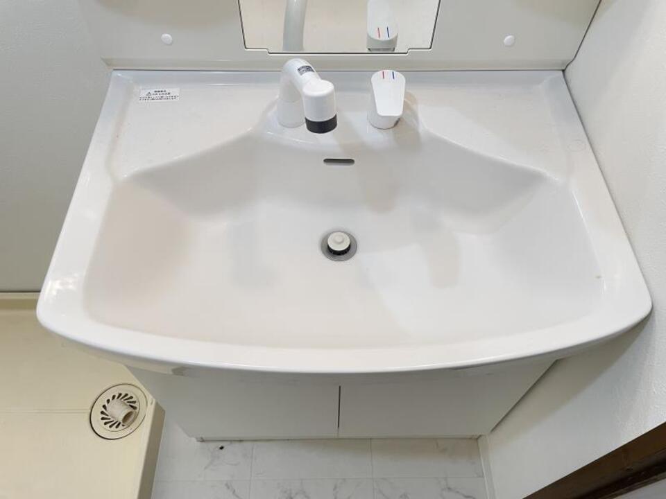 シャンプードレッサー