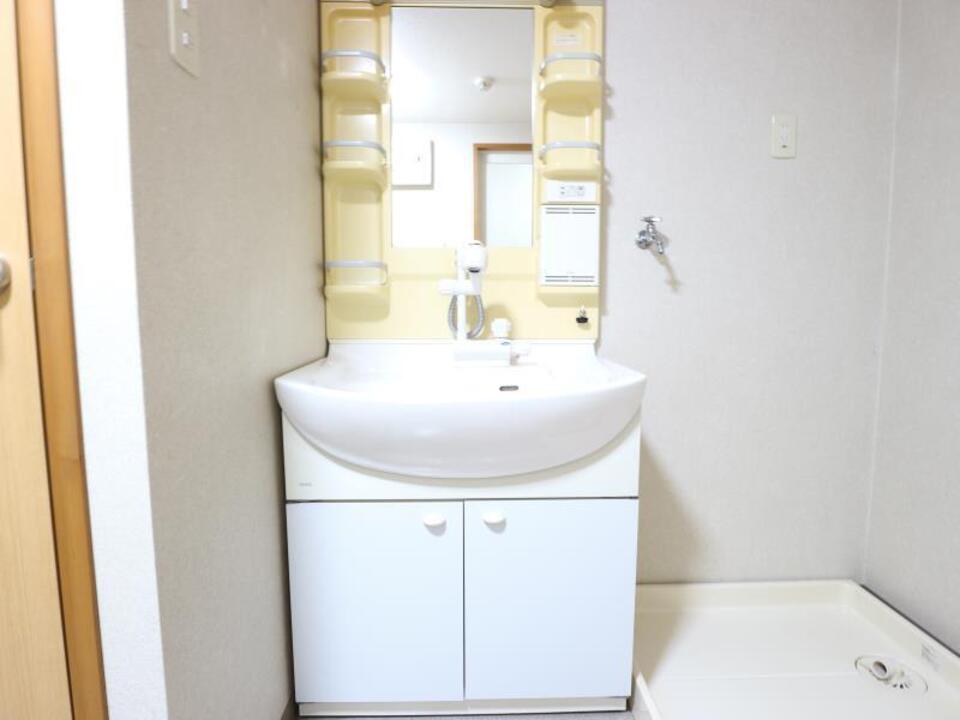 シャンプードレッサー