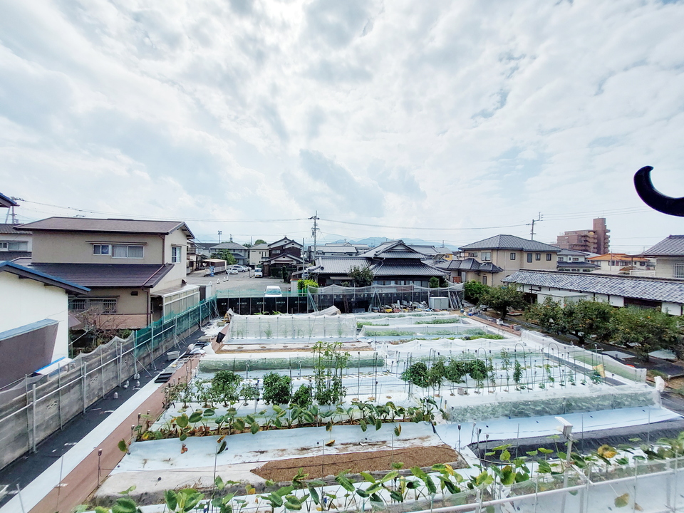 背景