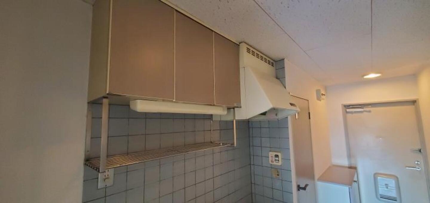 棚