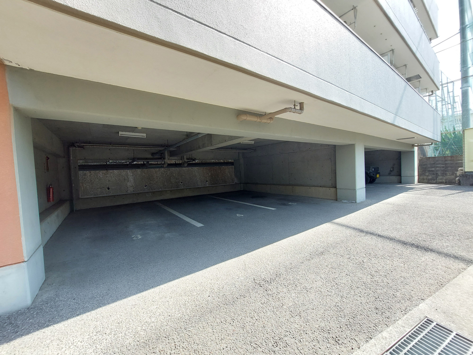 PXL_20250513_033659582