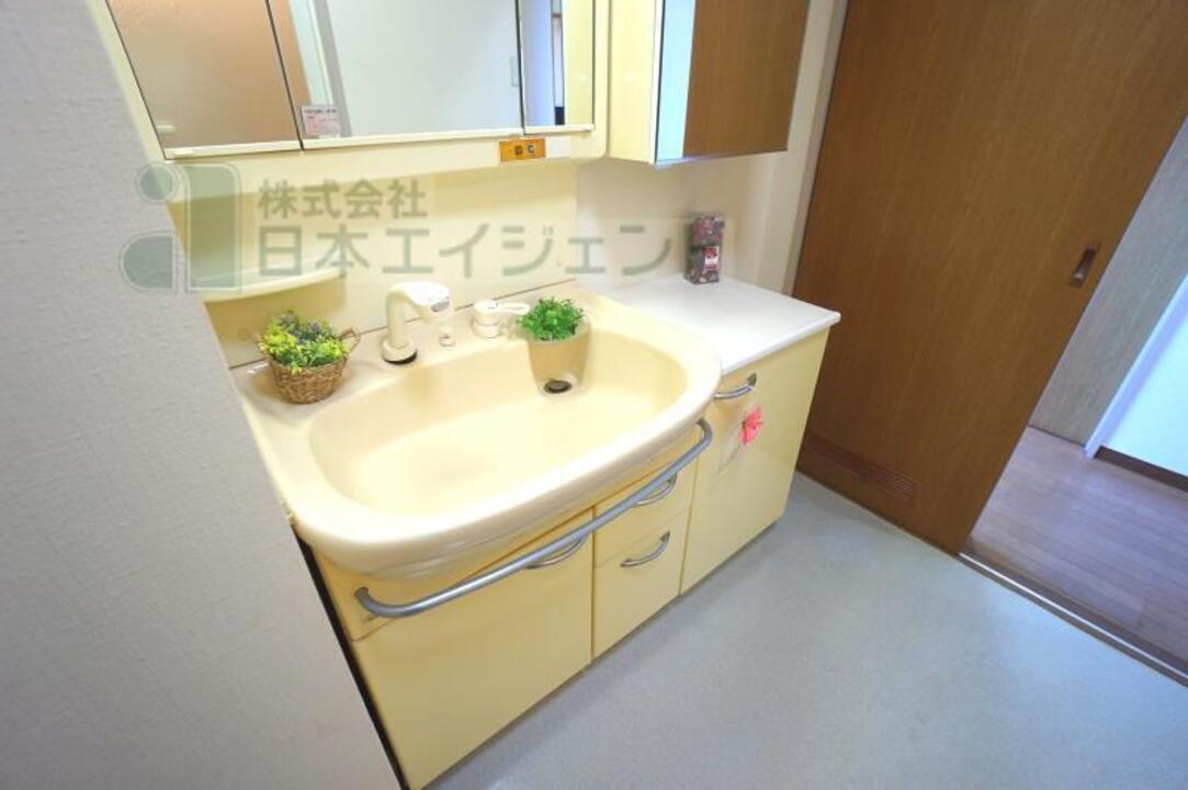 シャンプードレッサー