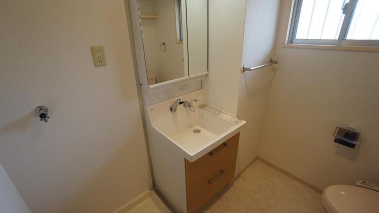 シャンプードレッサー