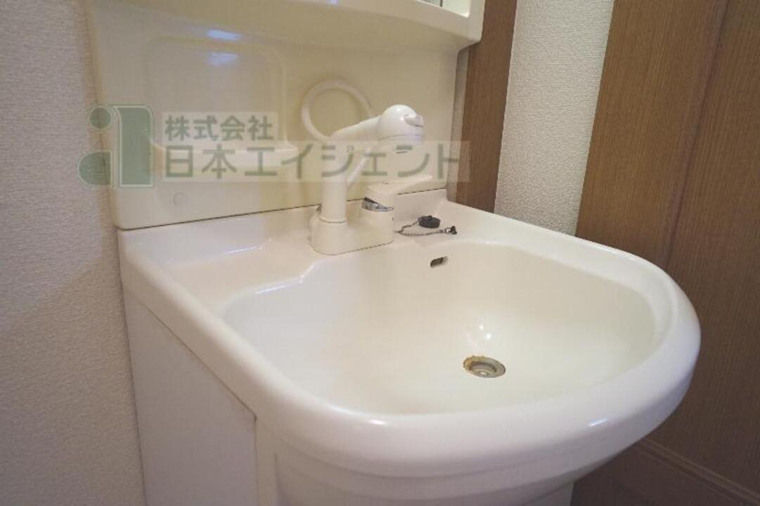 シャンプードレッサー