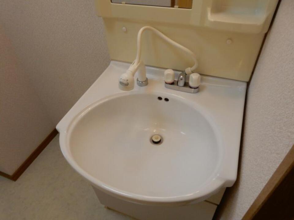 シャンプードレッサー
