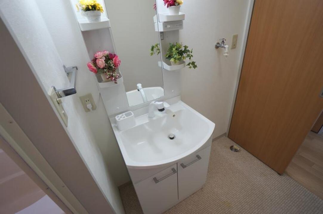 シャンプードレッサー