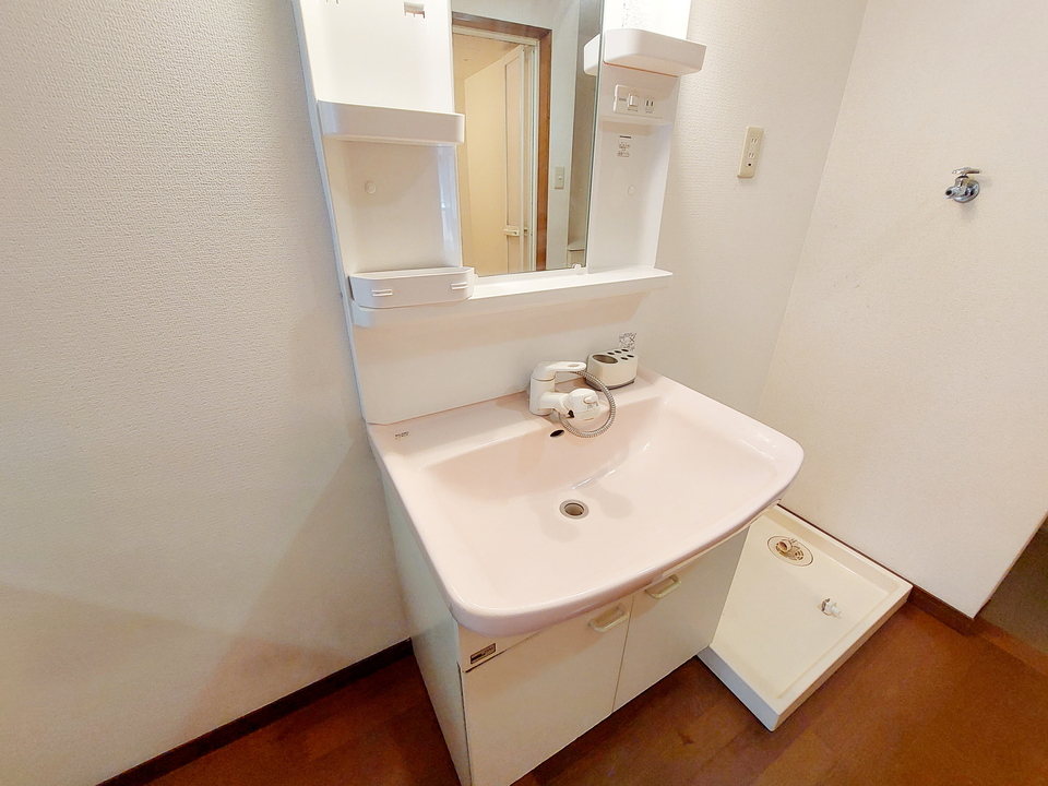 シャンプードレッサー