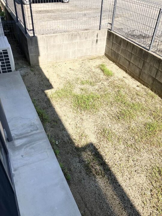 庭