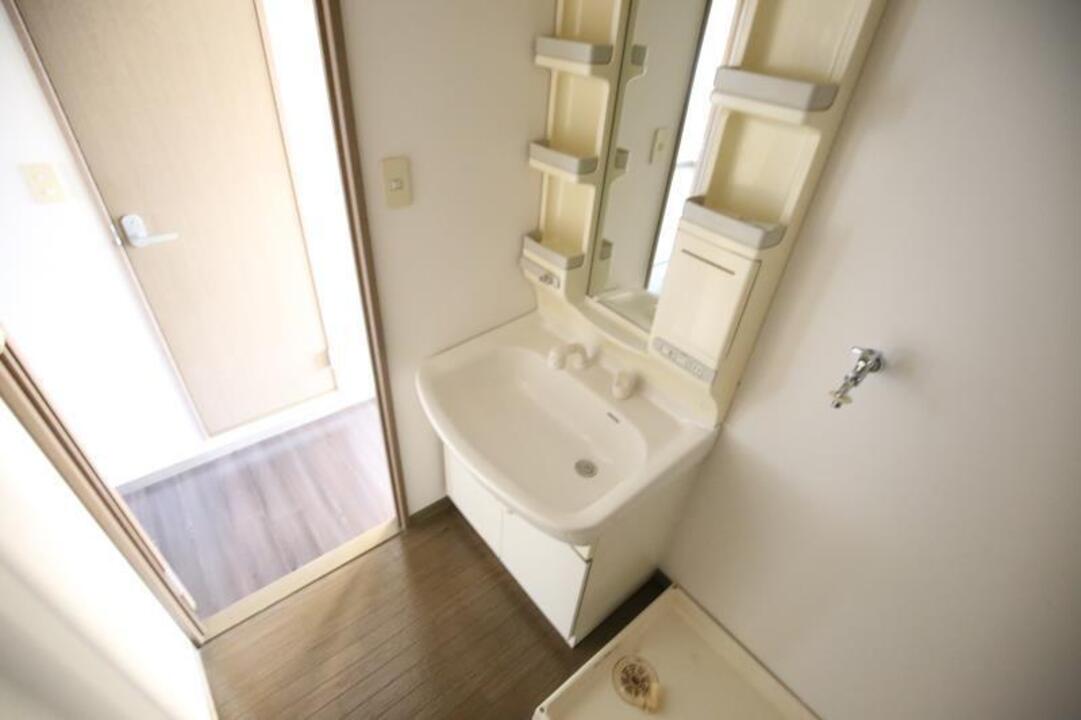 シャンプードレッサー