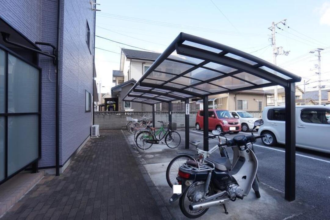 シャンプードレッサー