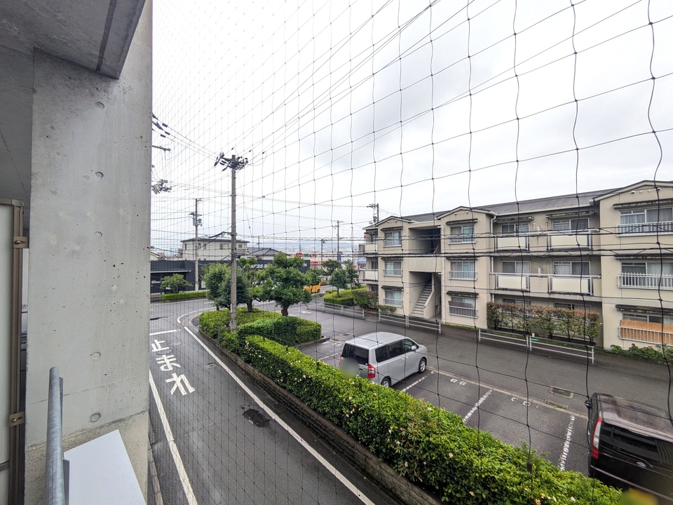 背景