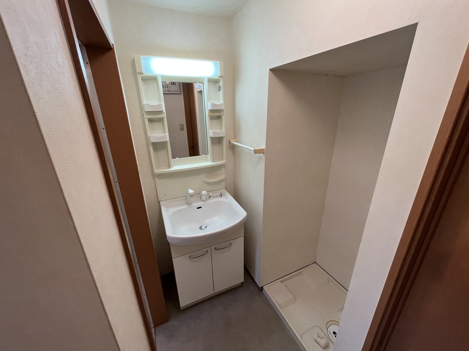 シャワー付洗面化粧台