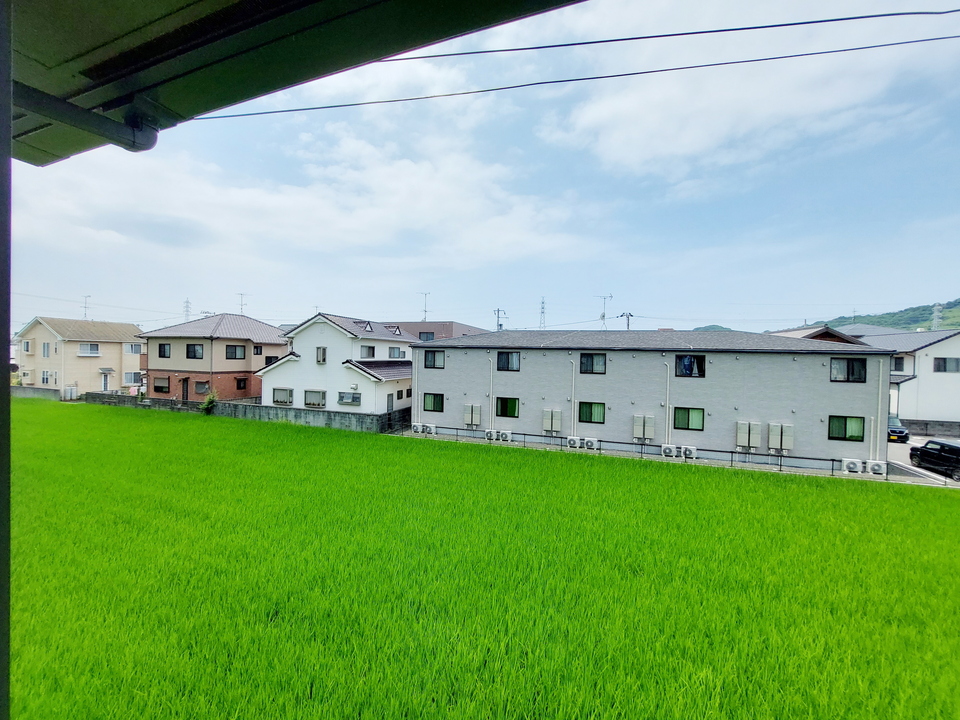 背景