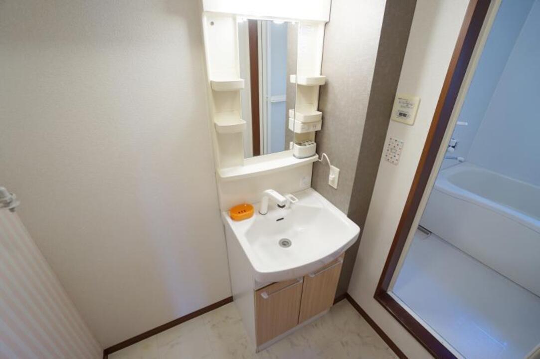 シャンプードレッサー