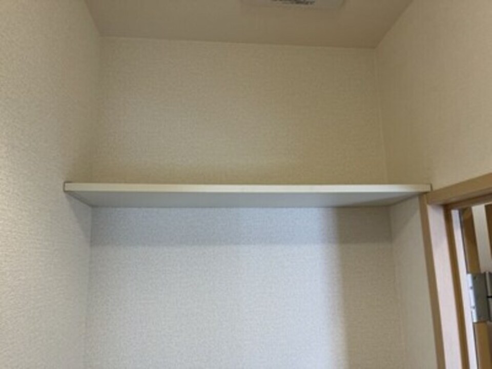 棚