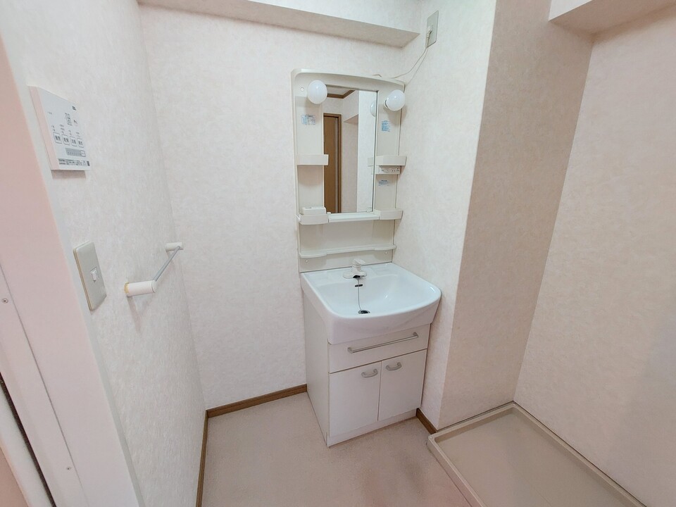 シャンプードレッサー