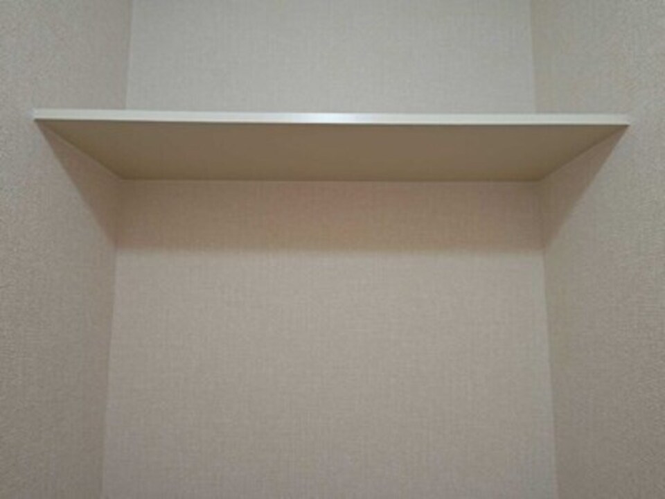 棚
