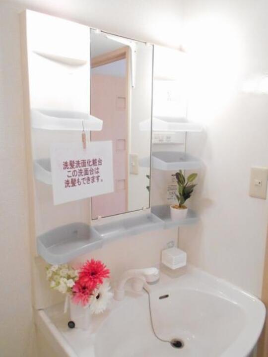 シャンプードレッサー