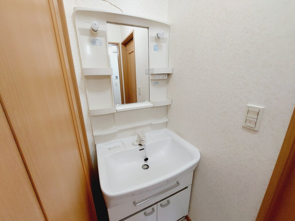 シャンプードレッサー