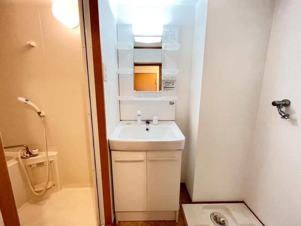 シャンプードレッサー