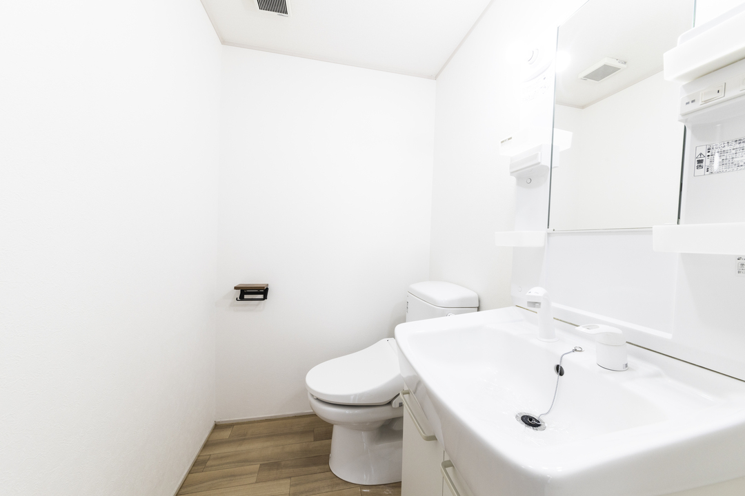 シャンプードレッサー