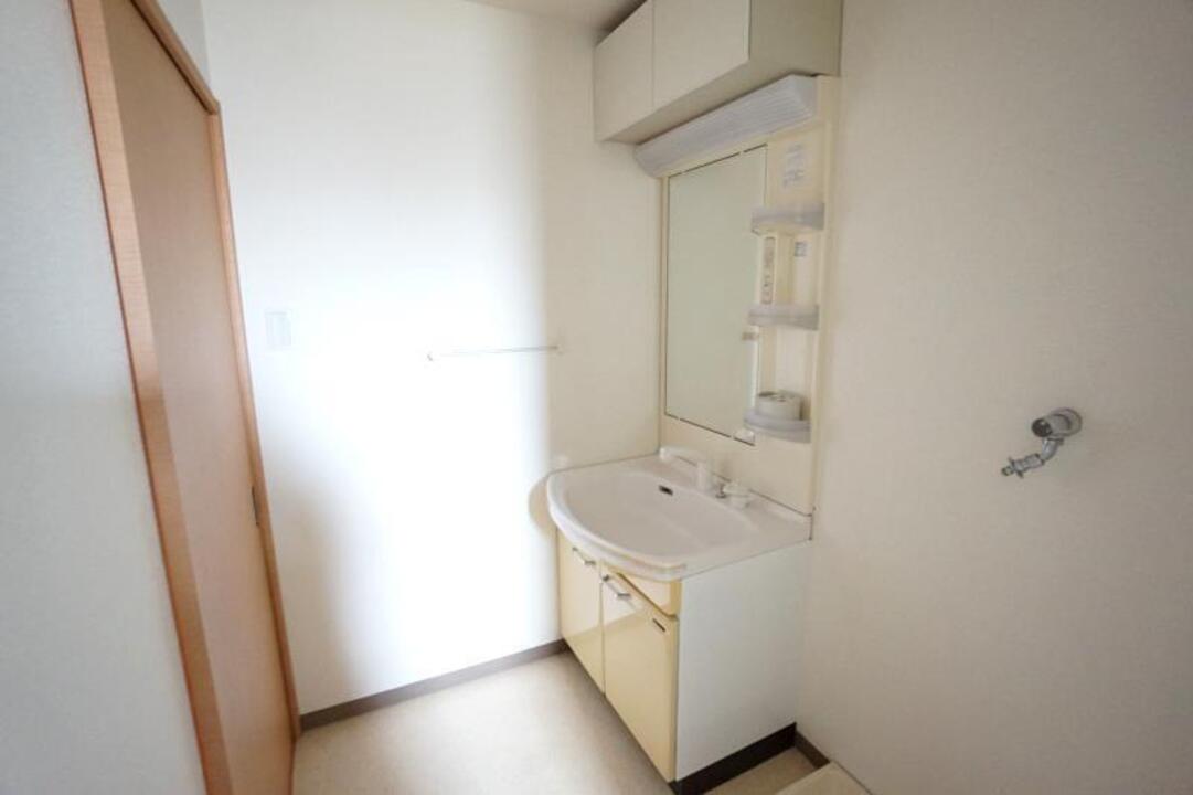 シャンプードレッサー