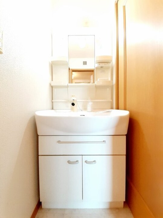 シャワー付洗面化粧台