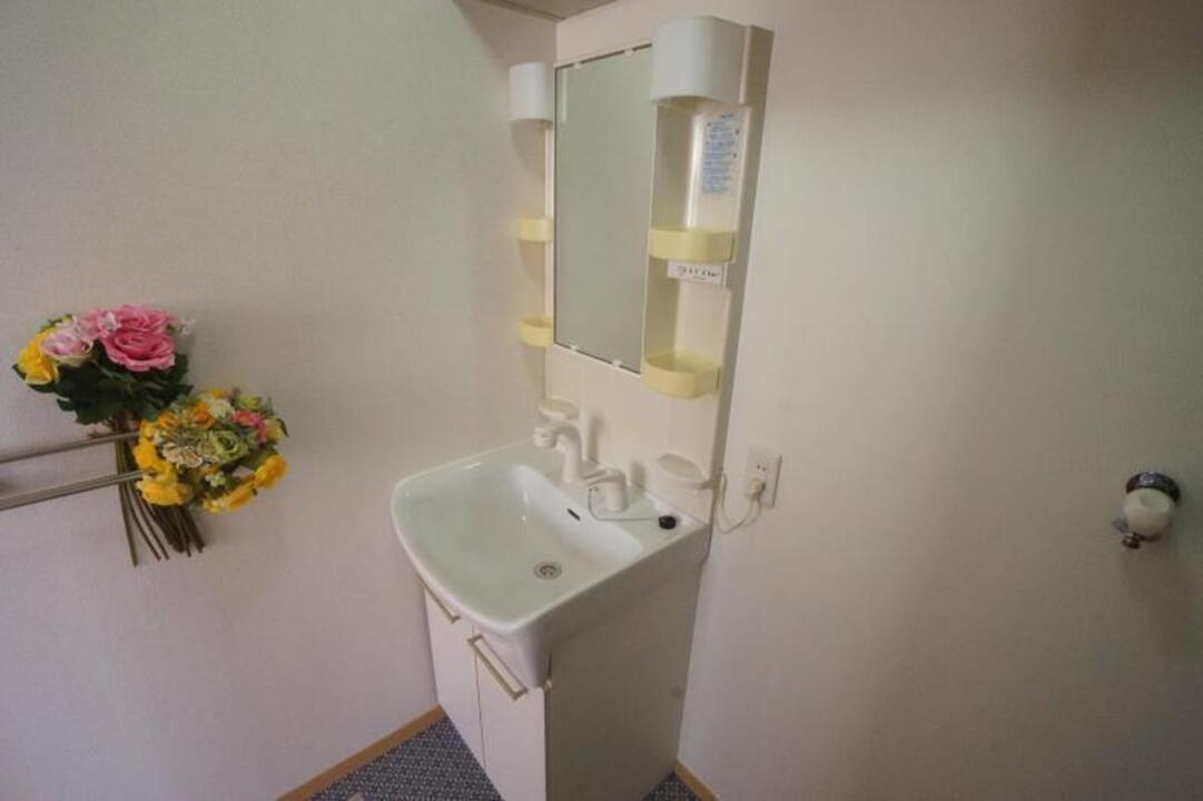 シャンプードレッサー
