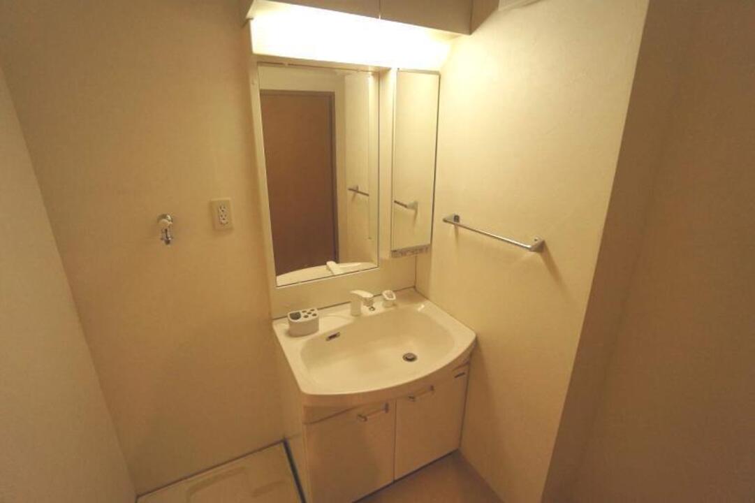 シャンプードレッサー