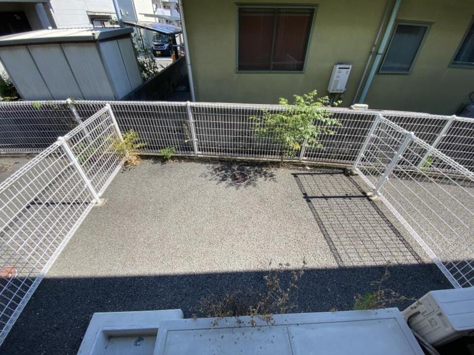 庭