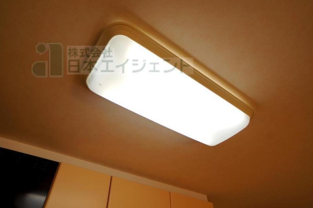 シャンプードレッサー