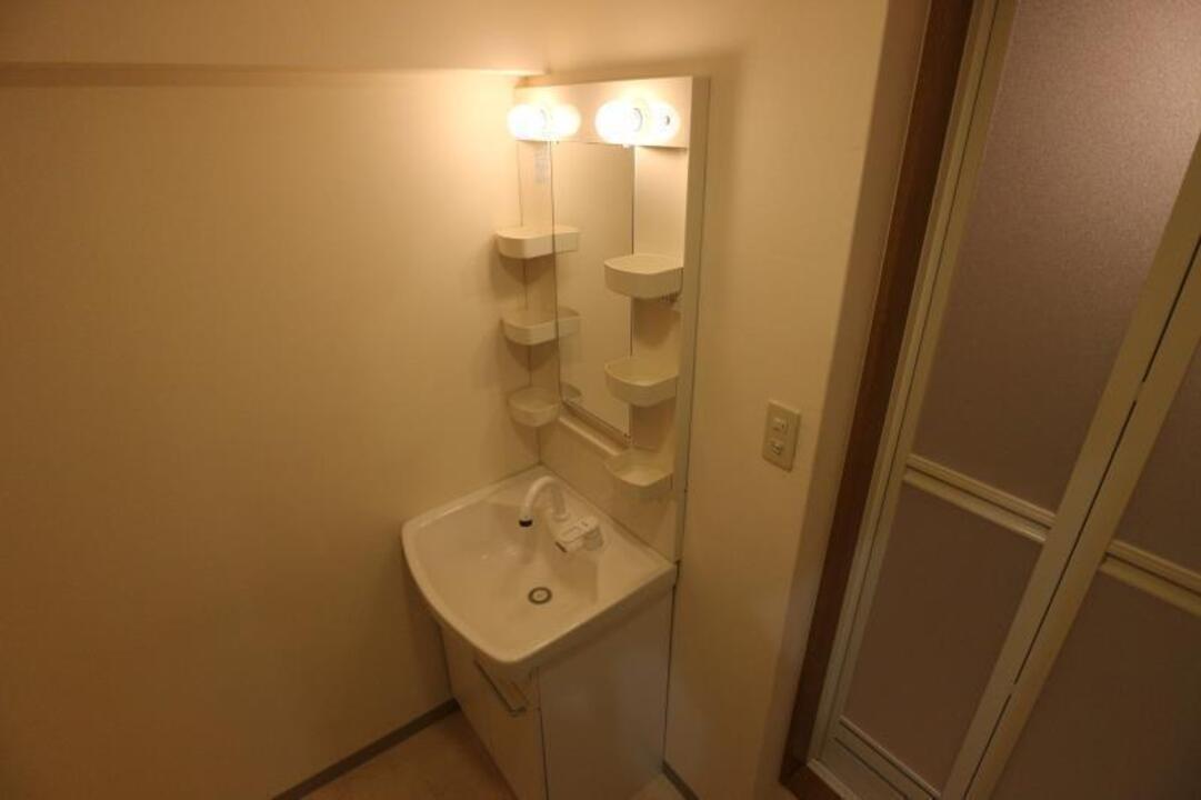 シャンプードレッサー