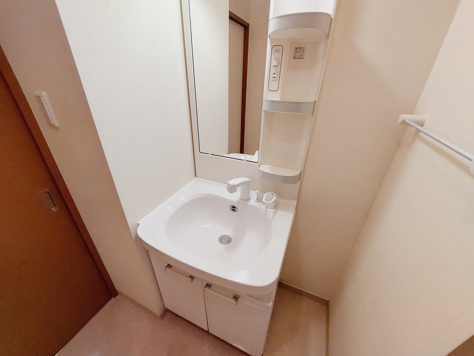 シャンプードレッサー