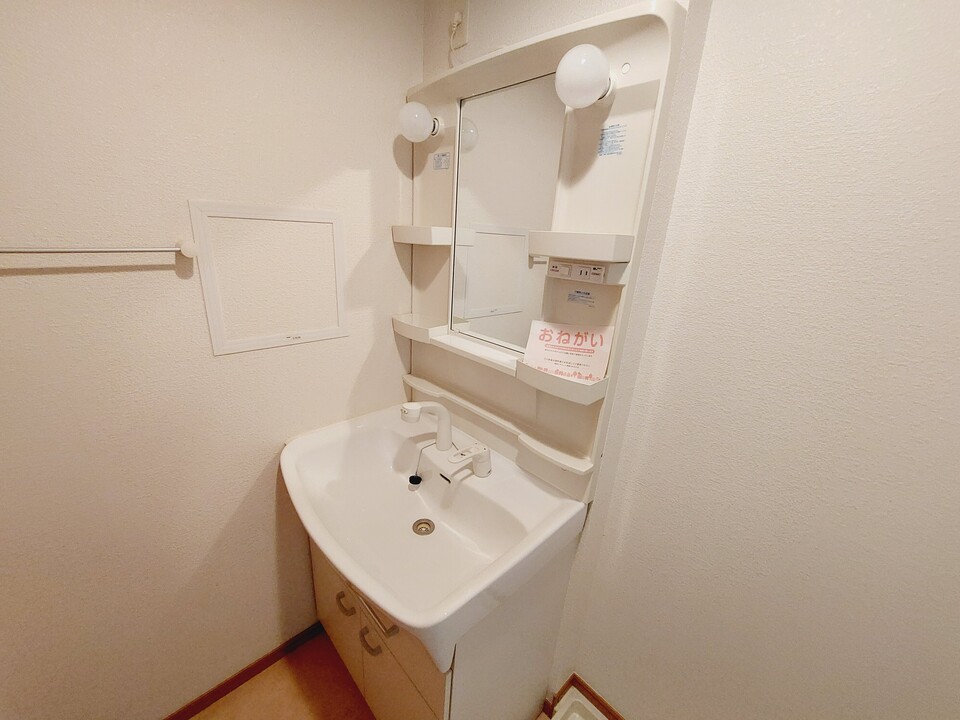 シャンプードレッサー